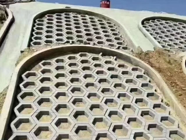 護(hù)坡磚工程案例